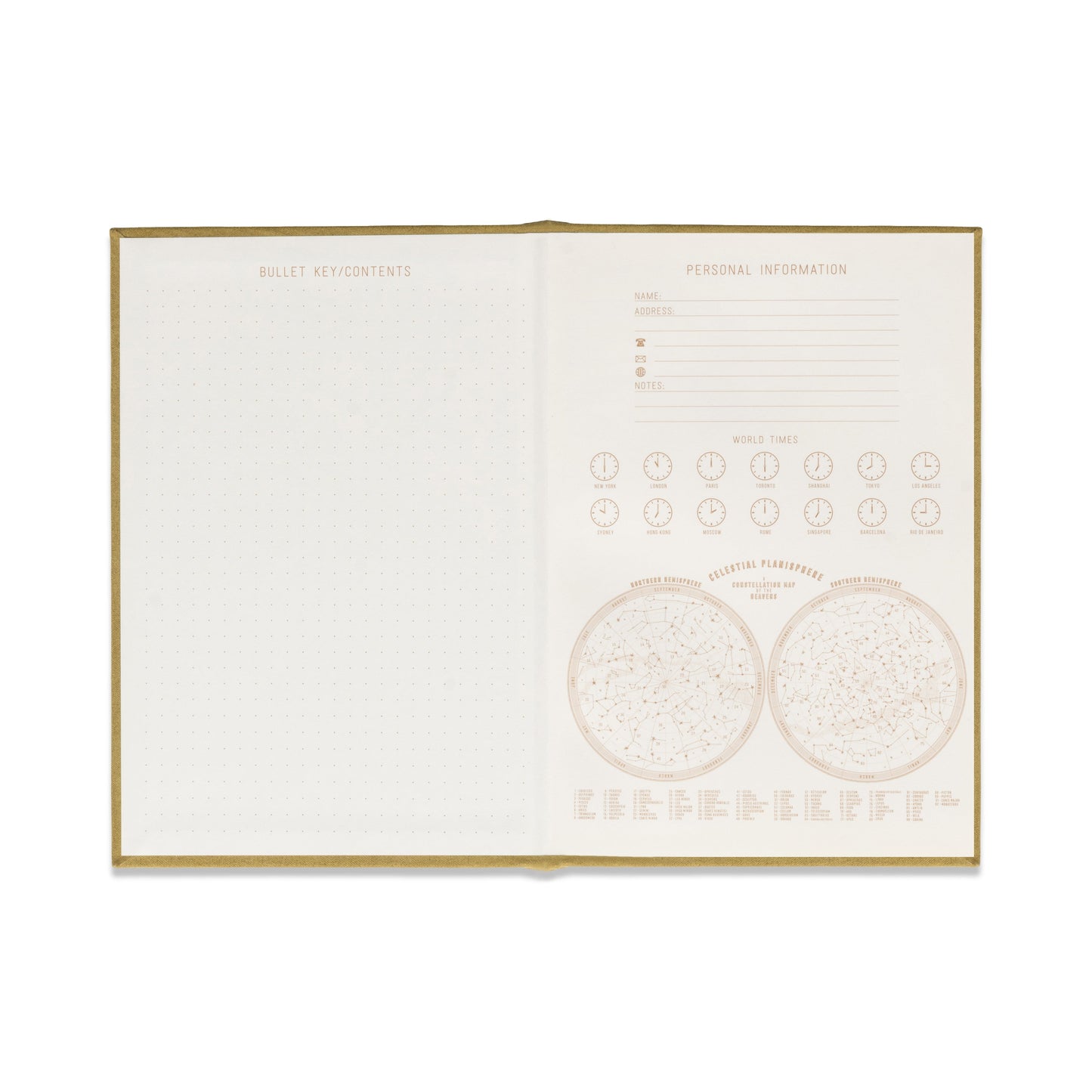 Radiant Journal - Avocado