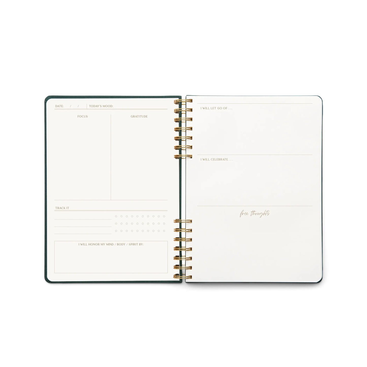 The Guided Wellness Journal - Take Care features daily planner sections for date, focus, gratitude, habit tracking, goals, letting go, celebration, and benefits—all on white pages with gold spiral binding. Ideal for your self-care journey.