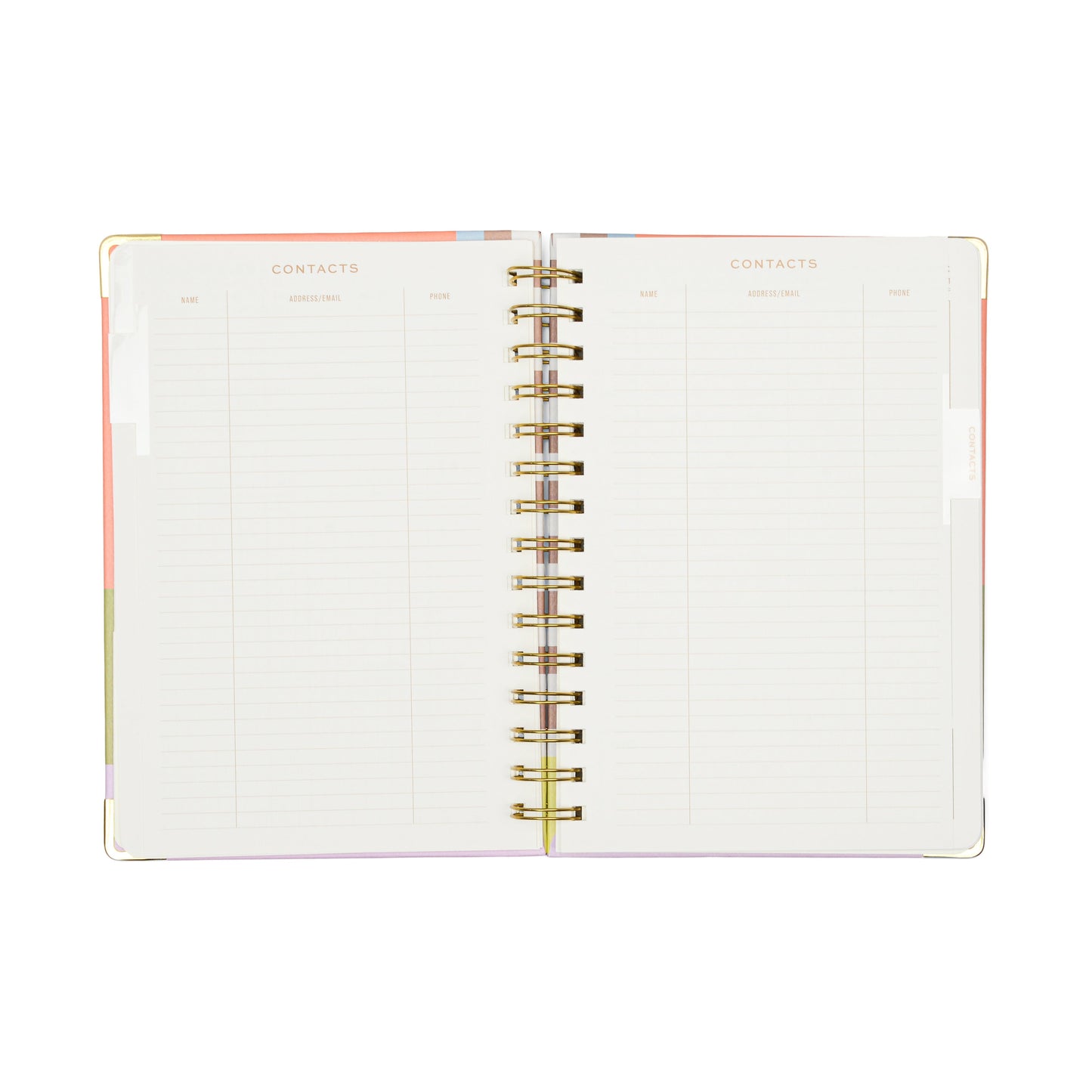 13 Mo Perpetual Planner - Geo Checks