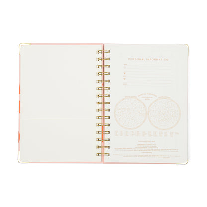 13 Mo Perpetual Planner - Plans