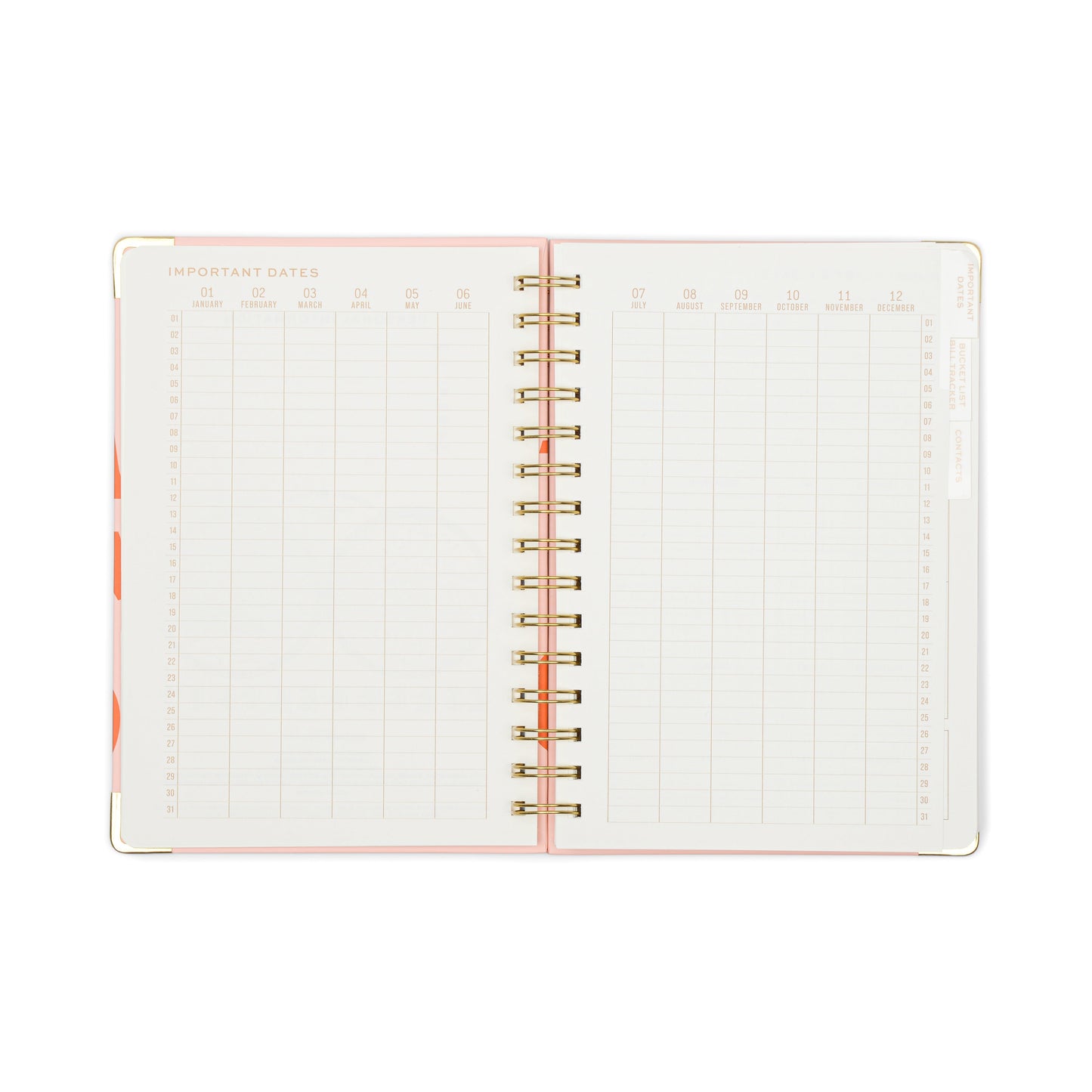 13 Mo Perpetual Planner - Plans