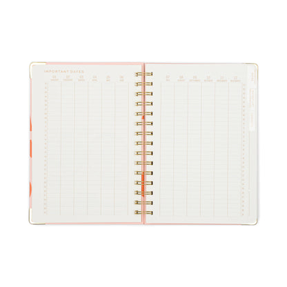 13 Mo Perpetual Planner - Plans