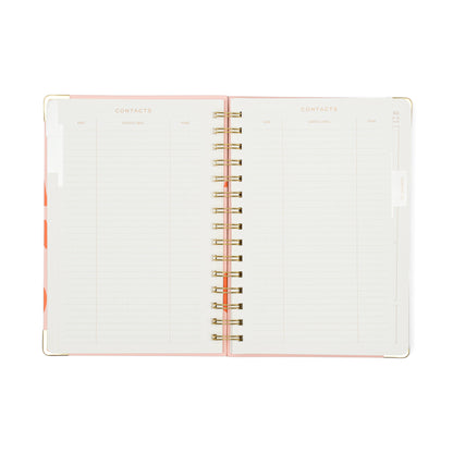 13 Mo Perpetual Planner - Plans