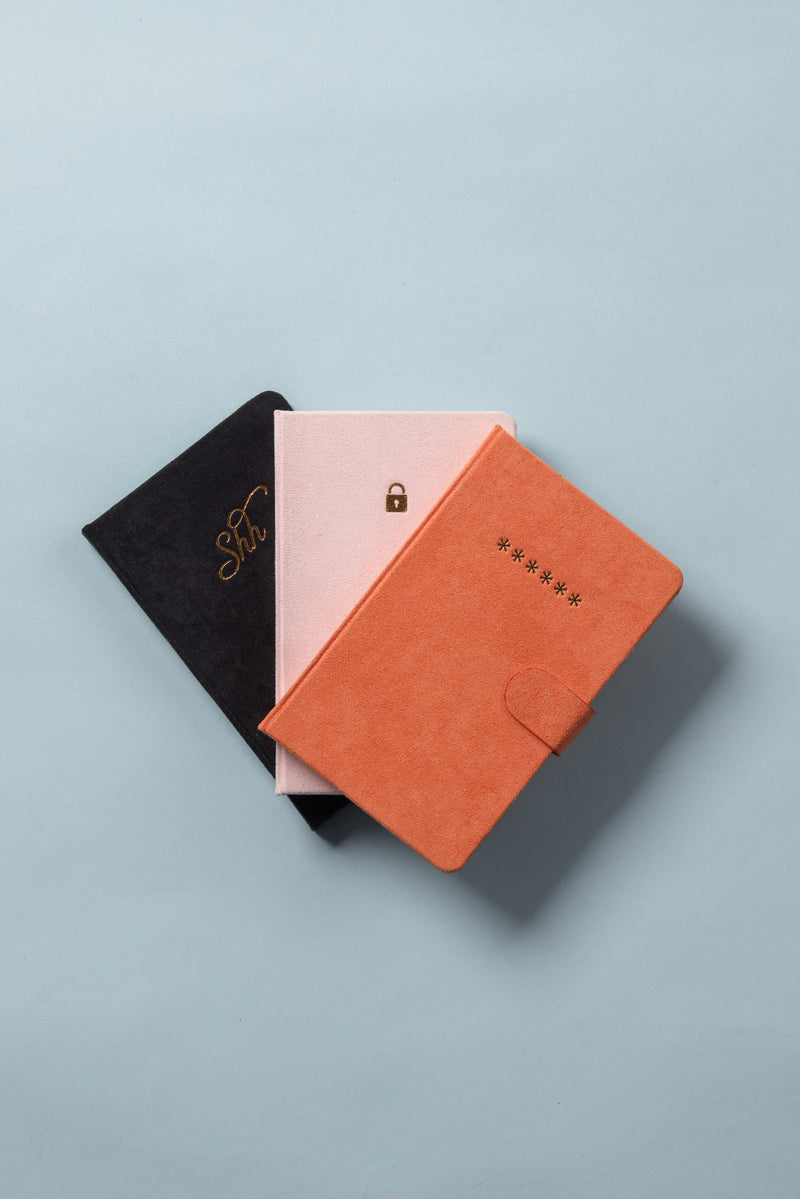Three closed journals on a light blue surface: a black password organizer with gold writing, a Mini Password Journal - Lock in light pink with a lock icon, and an orange-brown login notebook featuring a clasp and row of asterisks.